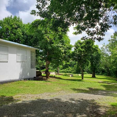 Crab Island Adventures Apartments Vieques Exterior photo