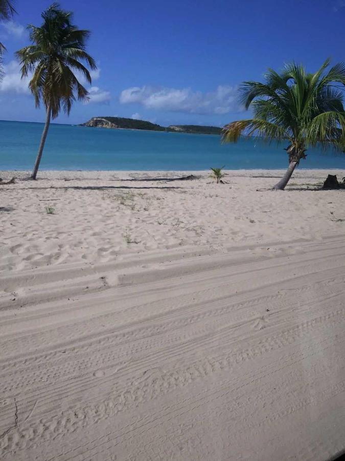 Crab Island Adventures Apartments Vieques Exterior photo